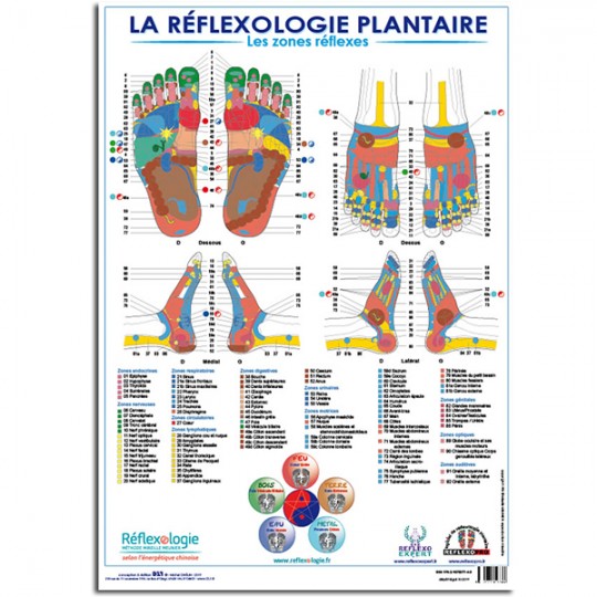 Poster A3 français Mireille MEUNIER "La Réflexologie Plantaire" - Les zones réflexes
