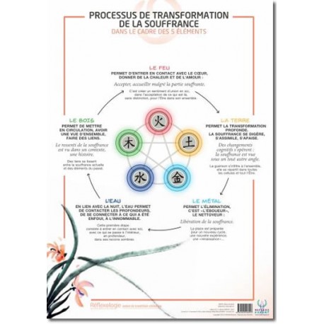 Poster A3 PROCESSUS DE TRANSFORMATION DE LA SOUFFRANCE dans le cadre des 5 éléments