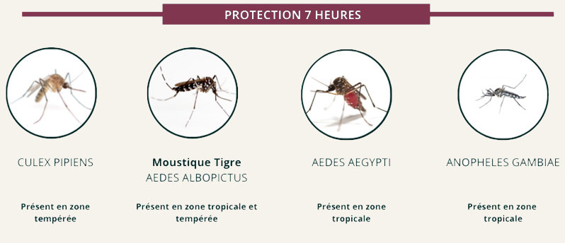 Ce répulsif est efficace contre les moustiques suivants : Culex Pipiens, Moustique tigre Aedes Albopictus, Aedes Aegpti et Anopheles gambiae
